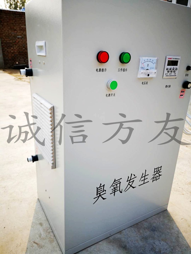 30g臭氧消毒設備